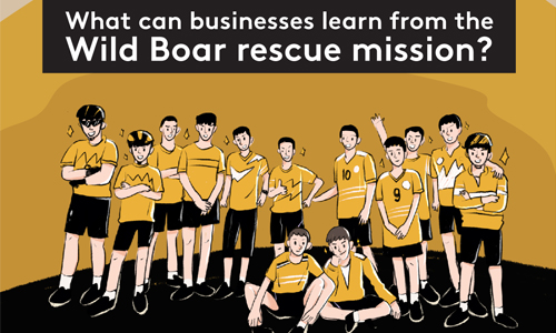 What can businesses learn from the Wild Boar rescue mission?